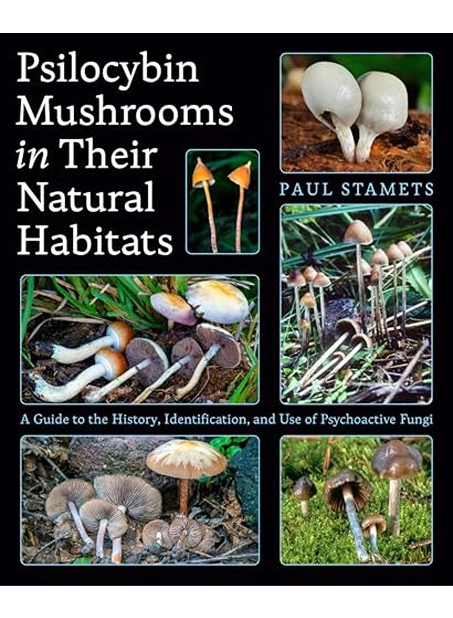 Diary Of A Wimpy Kid Pop Heads 3D Crafts - Image 2